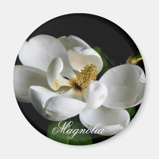 Magnolia Magnet