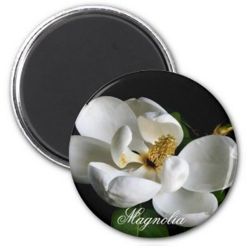 Magnolia Magnet by jonicool at Zazzle