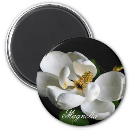 Magnolia Magnet