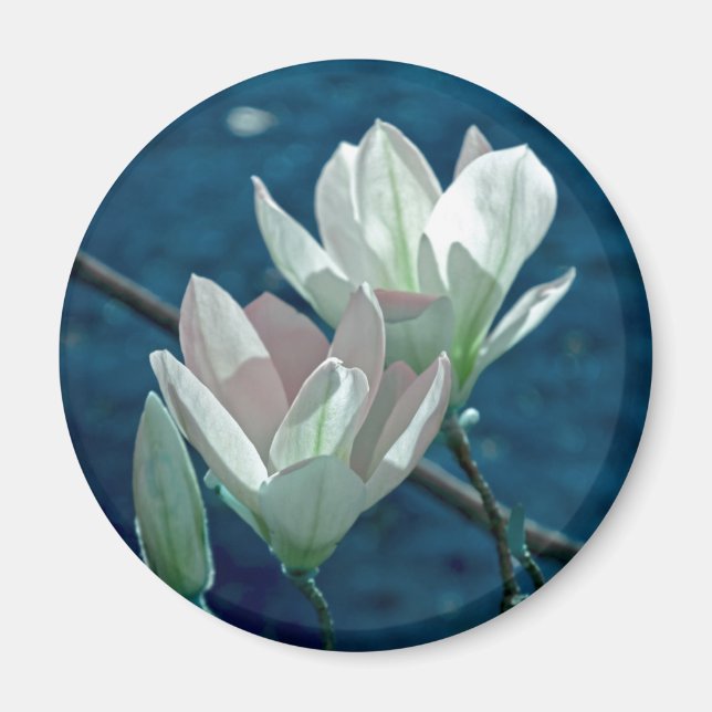 Magnolia Magnet (Front)