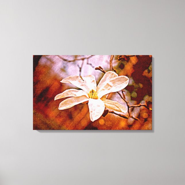 Magnolia Mood Canvas Print (Front)