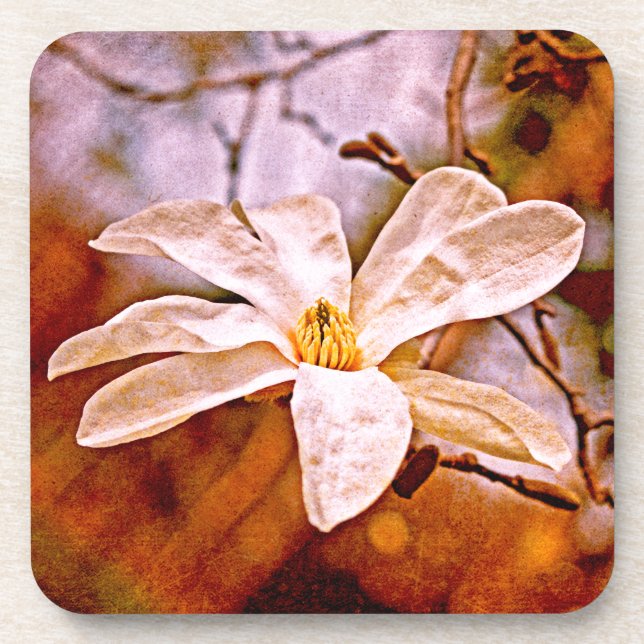 Magnolia Mood Drink Coaster (Front)