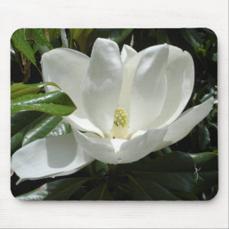 magnolia mouse pad