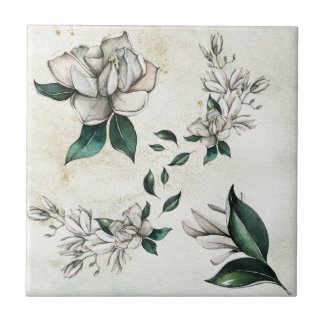 Magnolia On Antiqued Print Botanical Art Tile