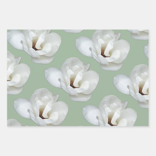 Magnolia on green wrapping paper sheets