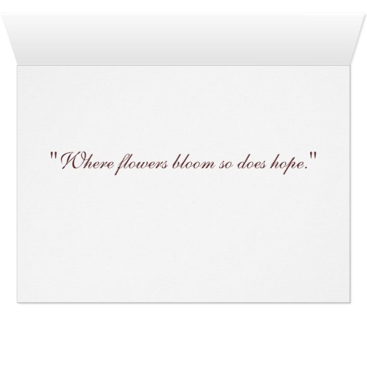 Magnolia on Red Velvet (Inside Horizontal (Bottom))