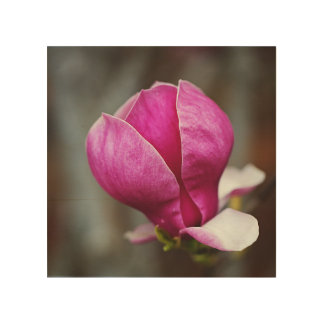 Magnolia Pink Full Bloom Wood Wall Art