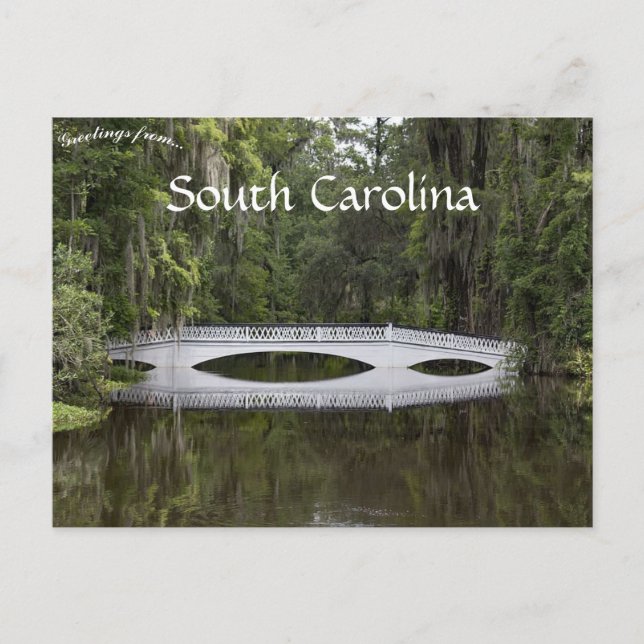 Magnolia Plantation Charleston South Carolina Postcard (Front)