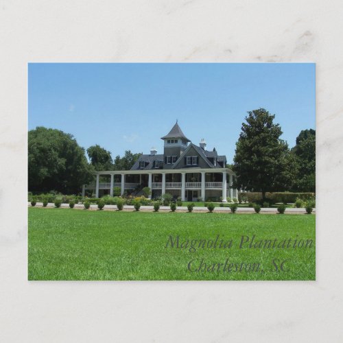 Magnolia Plantation Postcard