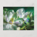 Magnolia Postcard