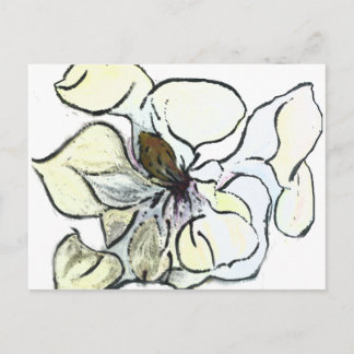 Magnolia Postcard