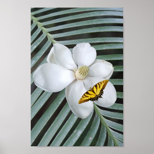 Magnolia Print, Value Poster Paper (Semi-Gloss) (Front)