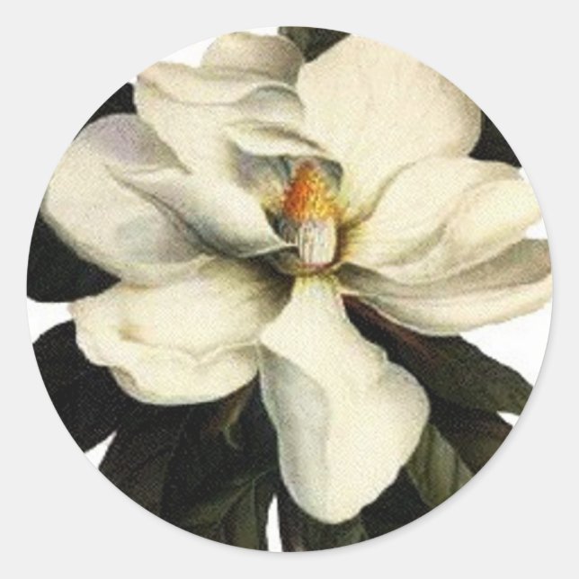 Magnolia - Sticker (Front)
