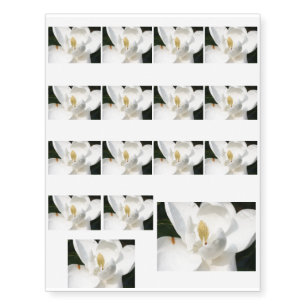 Magnolia Temporary Tattoos