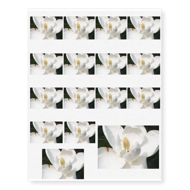 Magnolia Temporary Tattoos (Front)