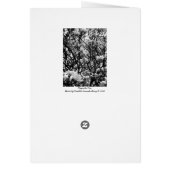 Magnolia Tree (Back)