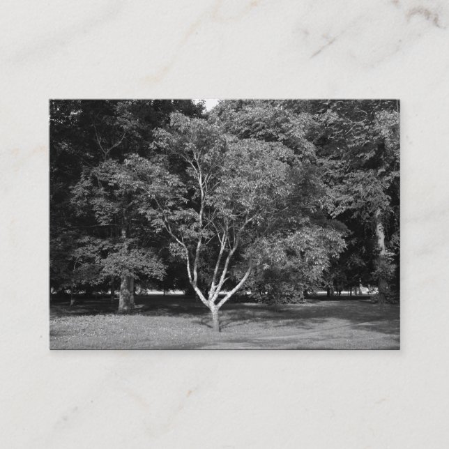 Magnolia Tree BW Business Card (Front)