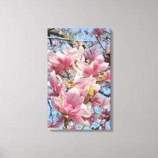 Magnolia Tree Canvas Print