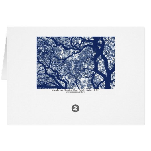 Magnolia Tree - Cyanotype Effect (Back Horizontal)
