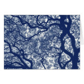 Magnolia Tree - Cyanotype Effect (Front Horizontal)