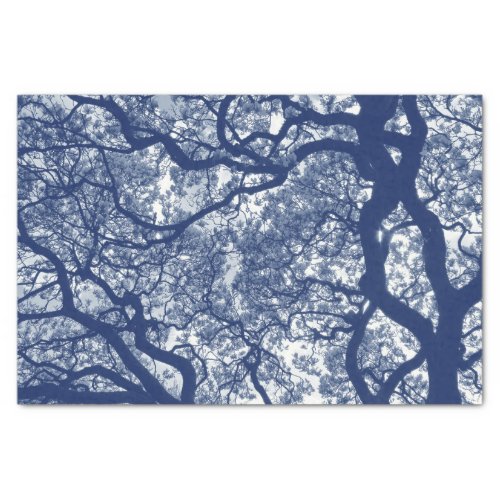 Magnolia Tree _ Cyanotype Effect Tissue Paper