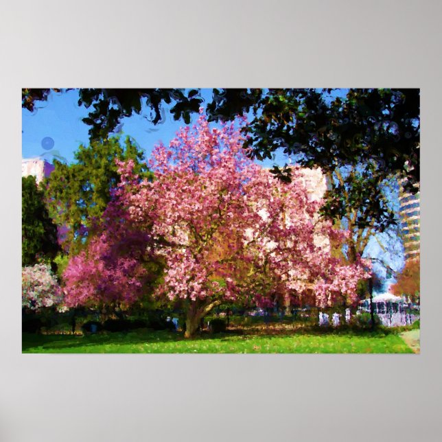 Magnolia Tree Digital Art Painting Poster (Front)