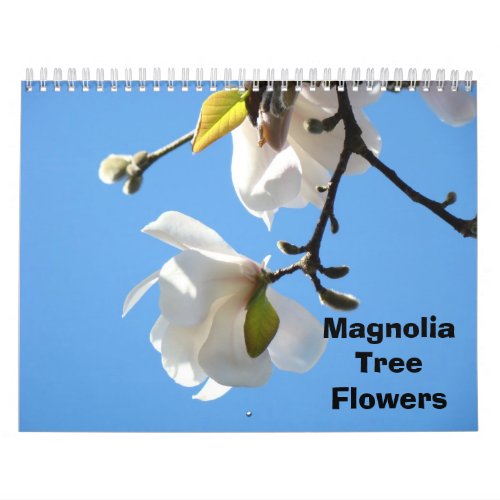 Magnolia Tree Flowers Photography Calendars