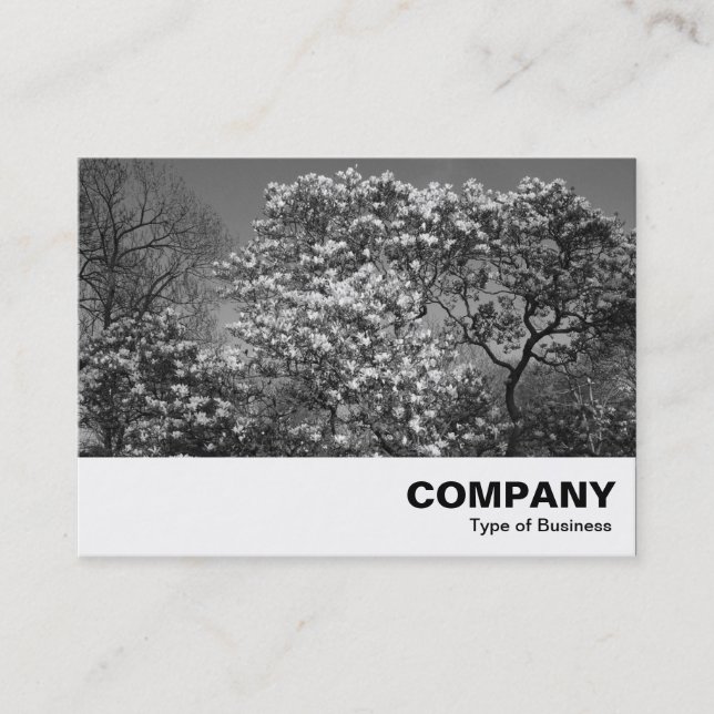 Magnolia tree in Blossom (B&W) Business Card (Front)