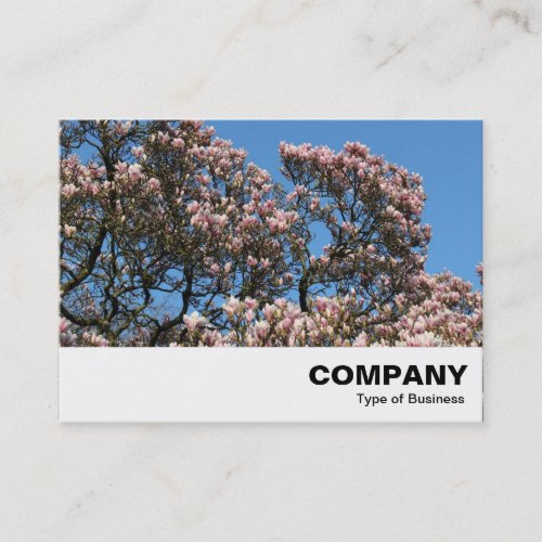 Magnolia Tree in Blossom Business Card