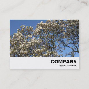 Magnolia Tree in Blossom Business Card