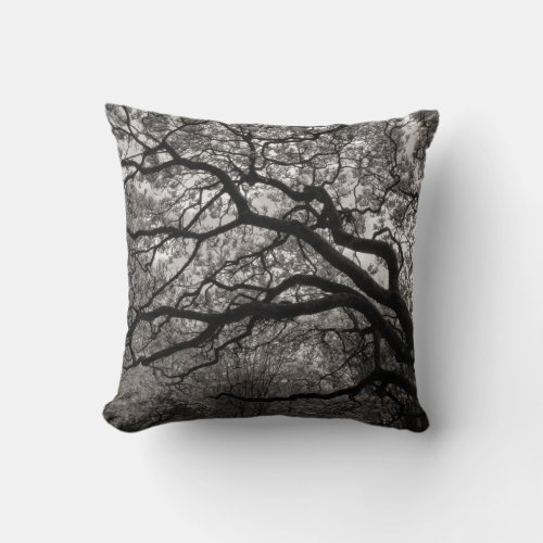 Magnolia Trees in Blossom 01 Throw Pillow