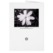 Magnolia - Vertical (Back)