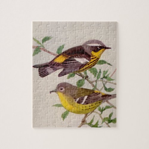 Magnolia Warbler Painting by Louis Agassiz Fuentes Jigsaw Puzzle