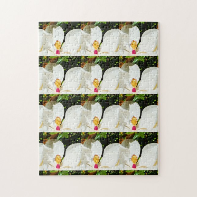 Magnolias Jigsaw Puzzle (Vertical)