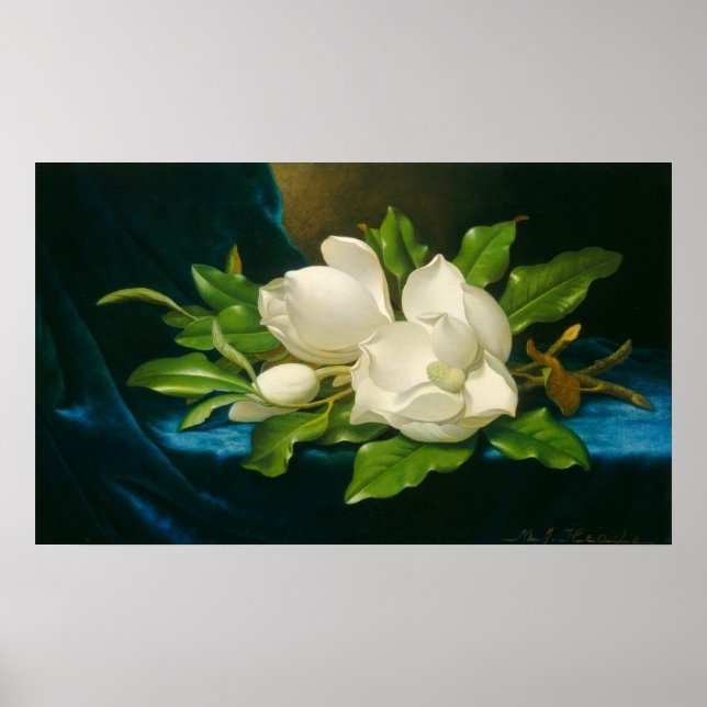 Magnolias - Martin Johnson Heade Fine Art Poster (Front)
