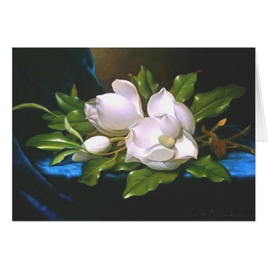 Magnolias on Blue Velvet (Front Horizontal)
