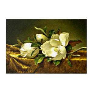 Magnolias on Gold Velvet Cloth Acrylic Print