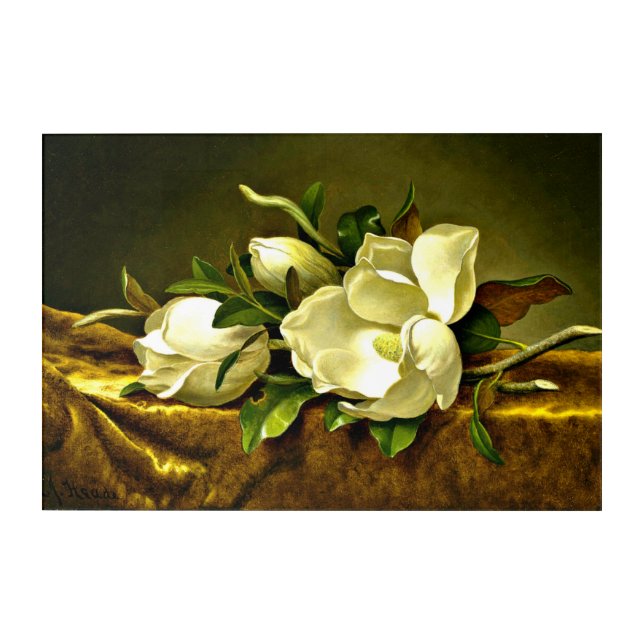 Magnolias on Gold Velvet Cloth Acrylic Print (Front)