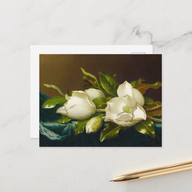 Magnolias on Light Blue Velvet Cloth by M J Heade Postcard (Front/Back In Situ)