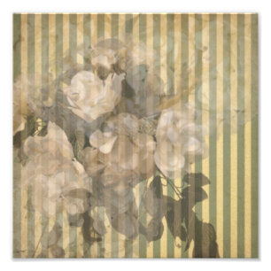 Magnolias on stripes vintage paper photo print