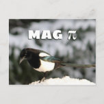 Magpi Postcard<br><div class="desc">This silly postcard features a photo of a magpie in the snow. Above the magpie,  the text says,  "Mag" along with the pi symbol. Give your math-loving (or bird-loving!) friends or family a chuckle with this fun card. Makes a great gift for a math teacher!</div>