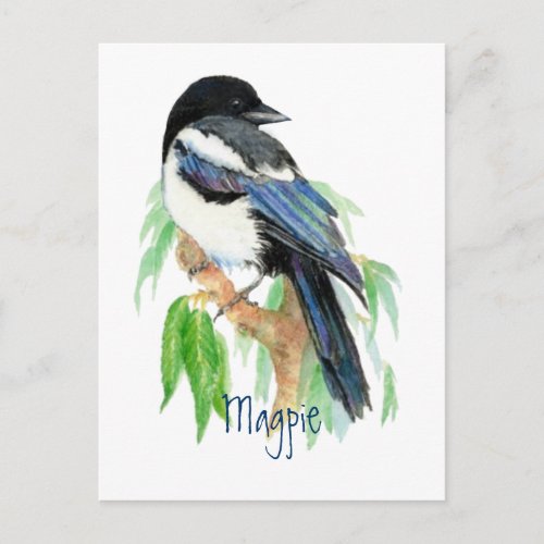 Magpie Bird Garden Nature Wildlife Postcard