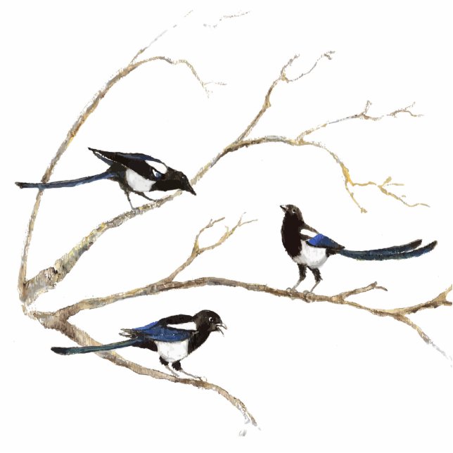 Magpie Family  Bird, Wildlife, Nature, Ornament Cutout (Front)