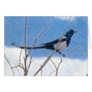 Magpie Fine Art Card