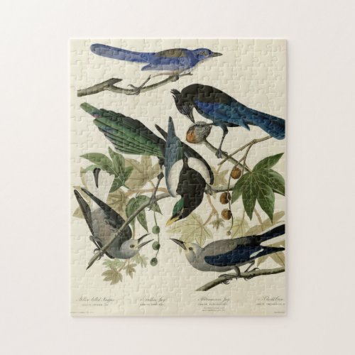 Magpie Jays  Nutcracker Audubon Birds of America  Jigsaw Puzzle