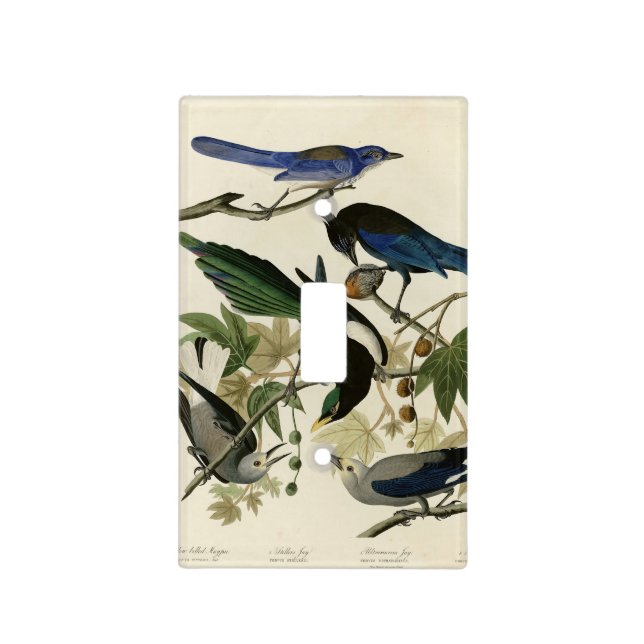 Magpie Jays & Nutcracker Audubon Birds of America  Light Switch Cover (Front)