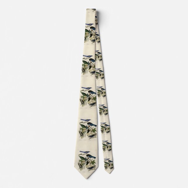 Magpie Jays & Nutcracker Audubon Birds of America  Neck Tie (Front)