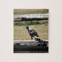 Native Australian Bird Jigsaw Puzzles Zazzle