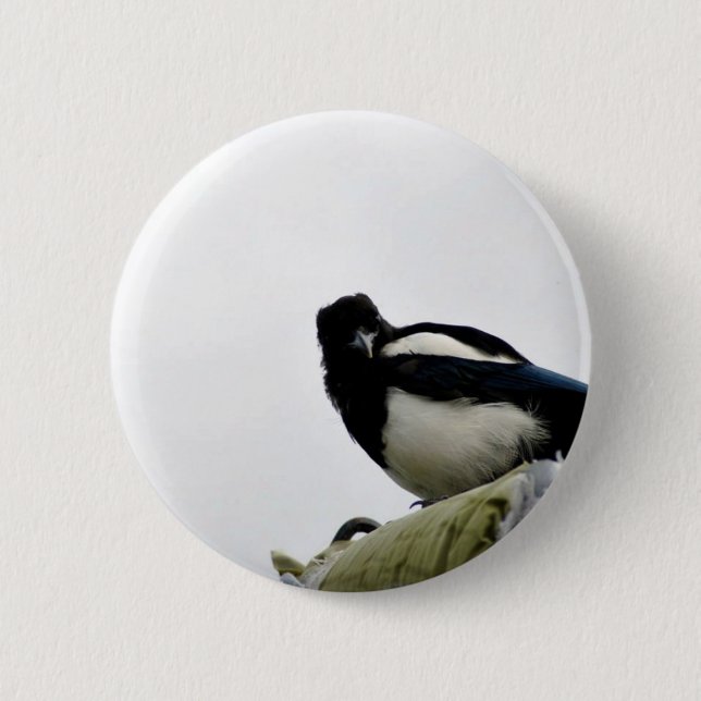 Magpie Pinback Button (Front)