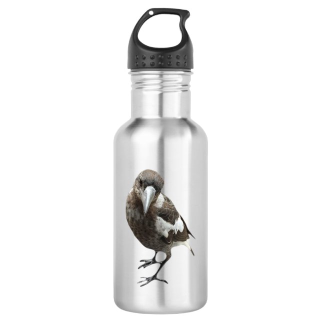Magpie Stainless Steel Water Bottle (Front)